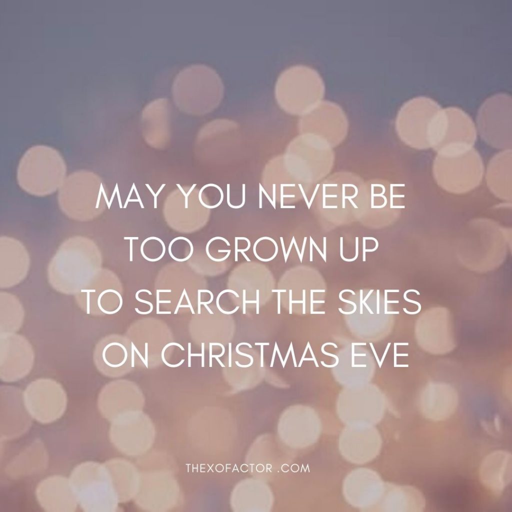 May you never be too grown up to search the skies on Christmas eve. 