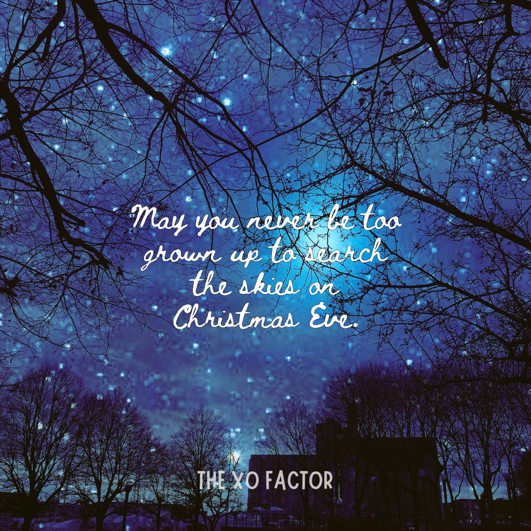 May you never be too grown up to search the skies on Christmas Eve.