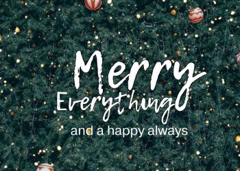 12 Fun Christmas Quotes With Images