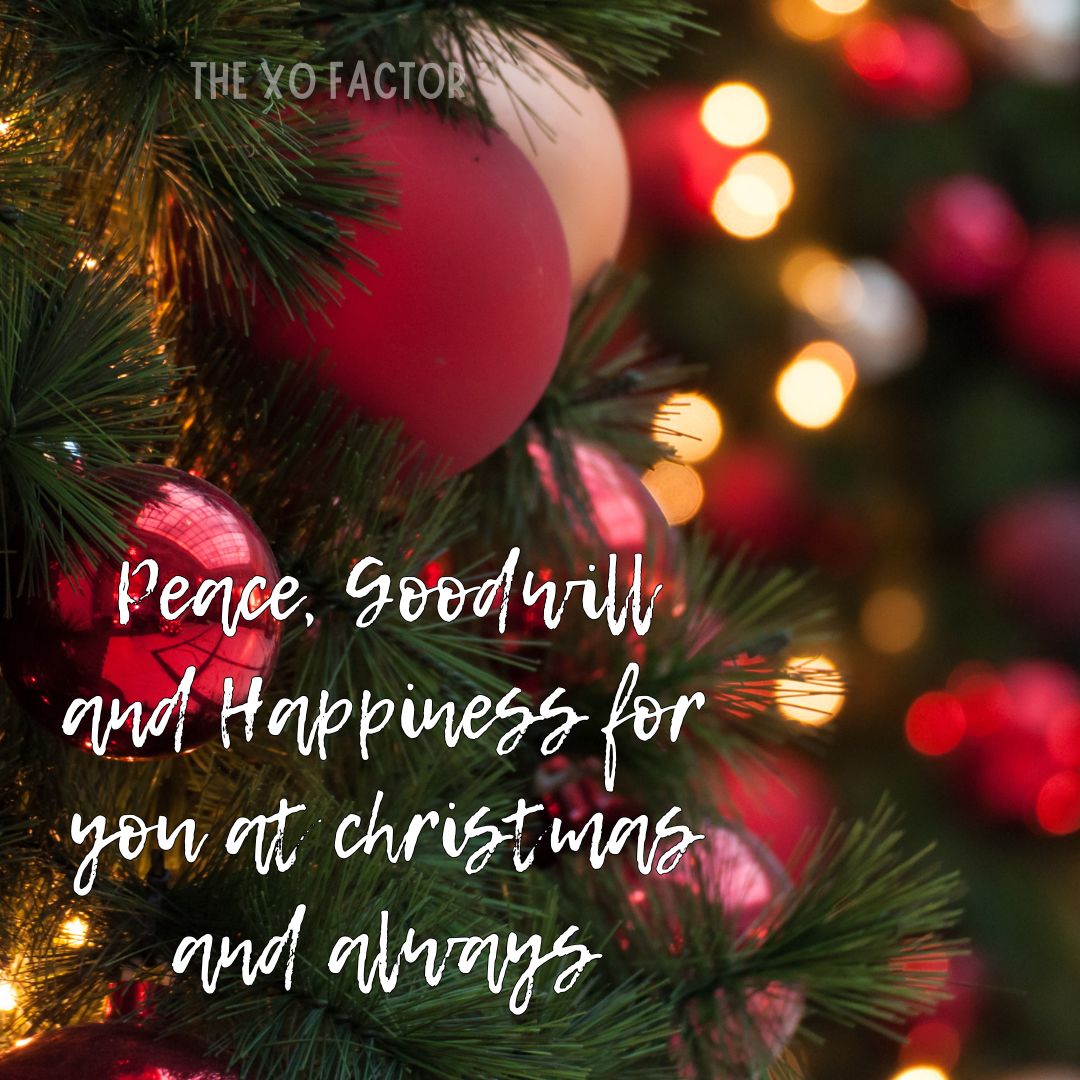 Peace, Goodwill and Happiness for you at christmas and always
