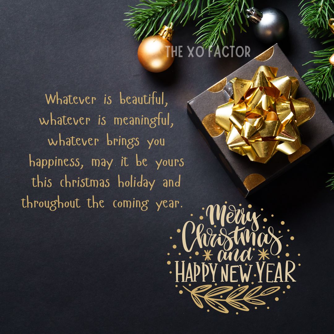 Whatever is beautiful, whatever is meaningful, whatever brings you happiness, may it be yours this christmas holiday and throughout the coming year.
