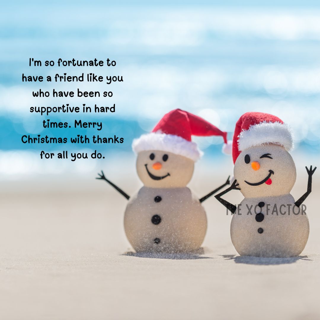 I'm so fortunate to have a friend like you who have been so supportive in hard times. Merry Christmas with thanks for all you do.