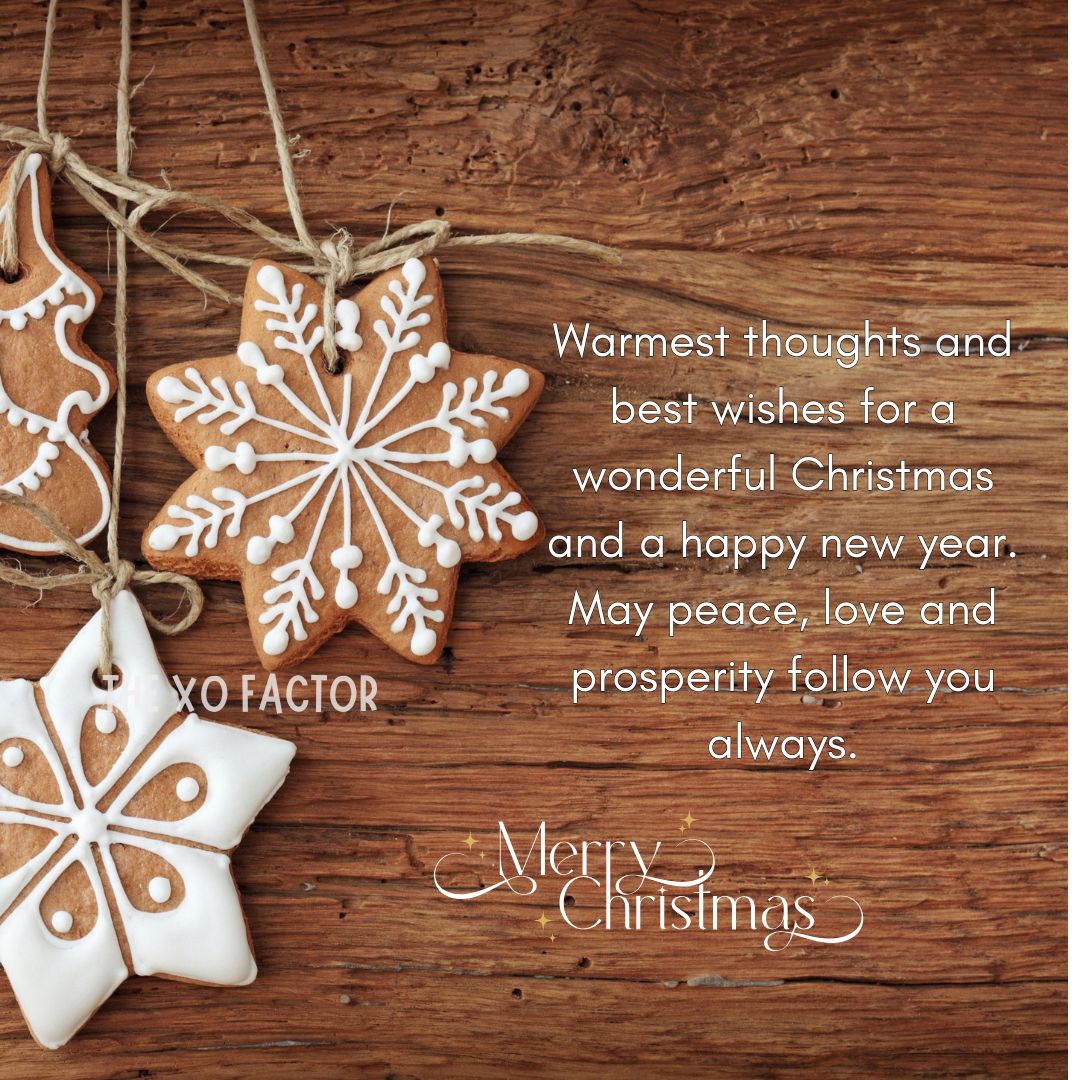 Warmest thoughts and best wishes for a wonderful Christmas and a happy new year. May peace, love and prosperity follow you always.