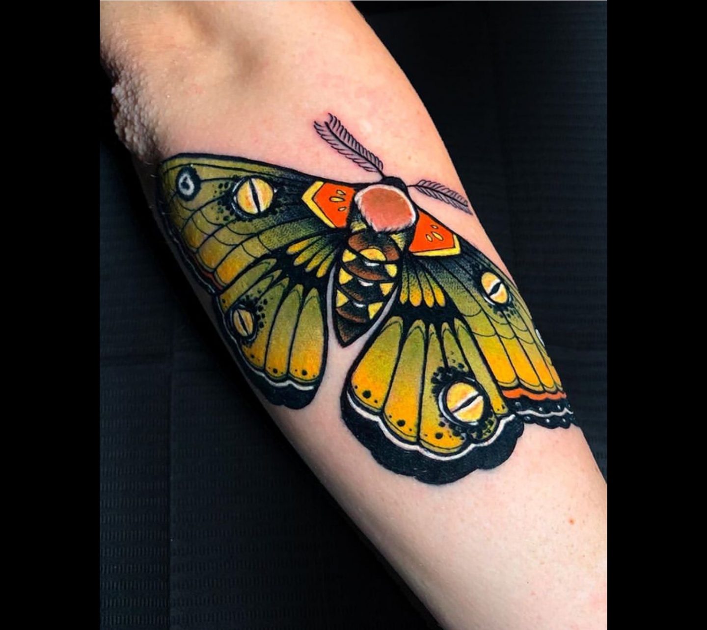 neo traditional butterfly tattoo