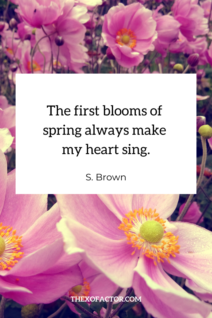 spring quotes