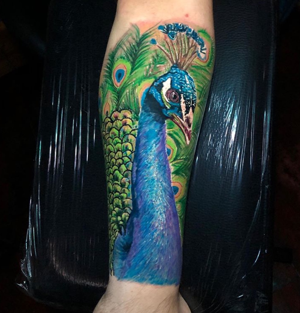 peacock tattoo