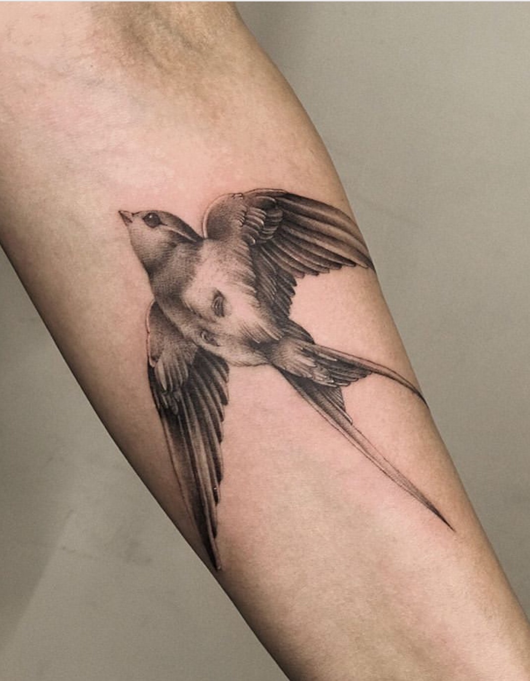 swallow tattoo