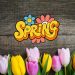 36 Beautiful Spring Quotes