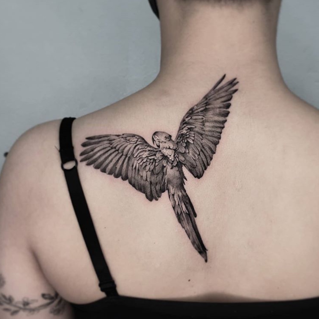 TEMPORARY TATTOOWALA Eagle Wings Bird Black and White Design Temporary  Waterproof Tattoo For Men and Women