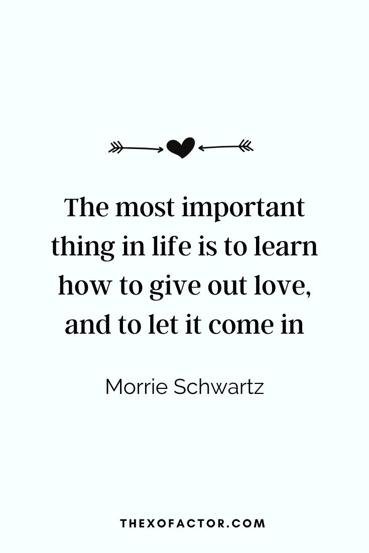  “The most important thing in life is to learn how to give out love, and to let it come in.” Morrie Schwartz