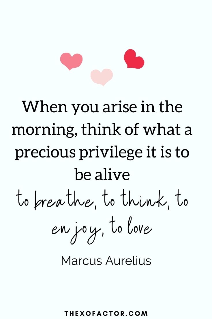 " When you arise in the morning, think of what a precious privilege it is to be alive – to breathe, to think, to enjoy, to love" Marcus Aurelius