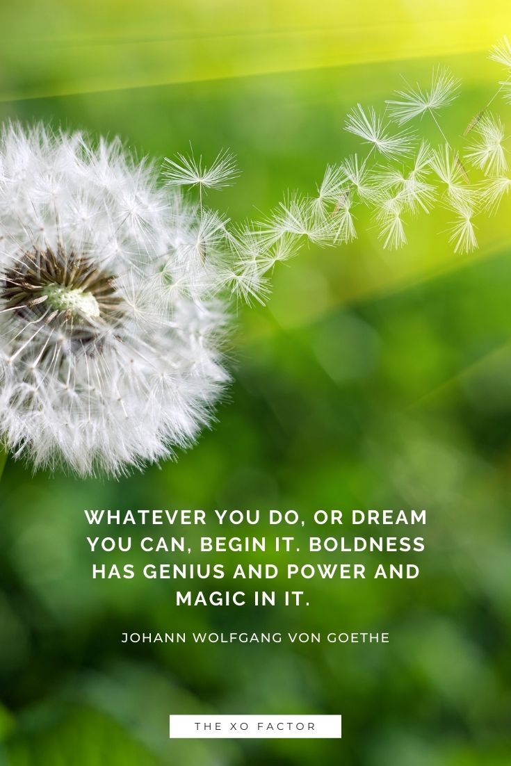 Whatever you do, or dream you can, begin it. Boldness has genius and power and magic in it.      - Johann Wolfgang von Goethe