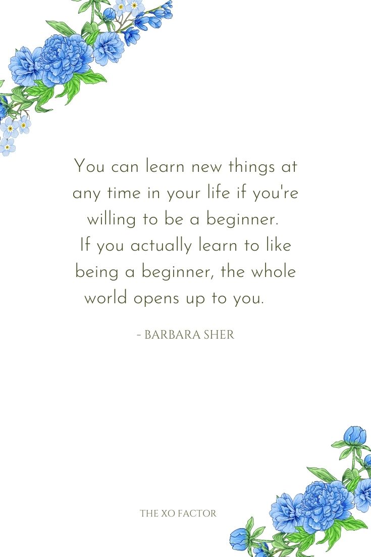 You can learn new things at any time in your life if you're willing to be a beginner. If you actually learn to like being a beginner, the whole world opens up to you.      - Barbara Sher