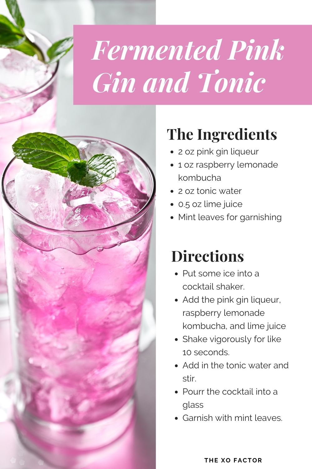 fermented pink gin and tonic recipe