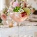 Fermented Pink Gin And Tonic Cocktail