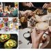 80 Best Brunch Captions For Instagram