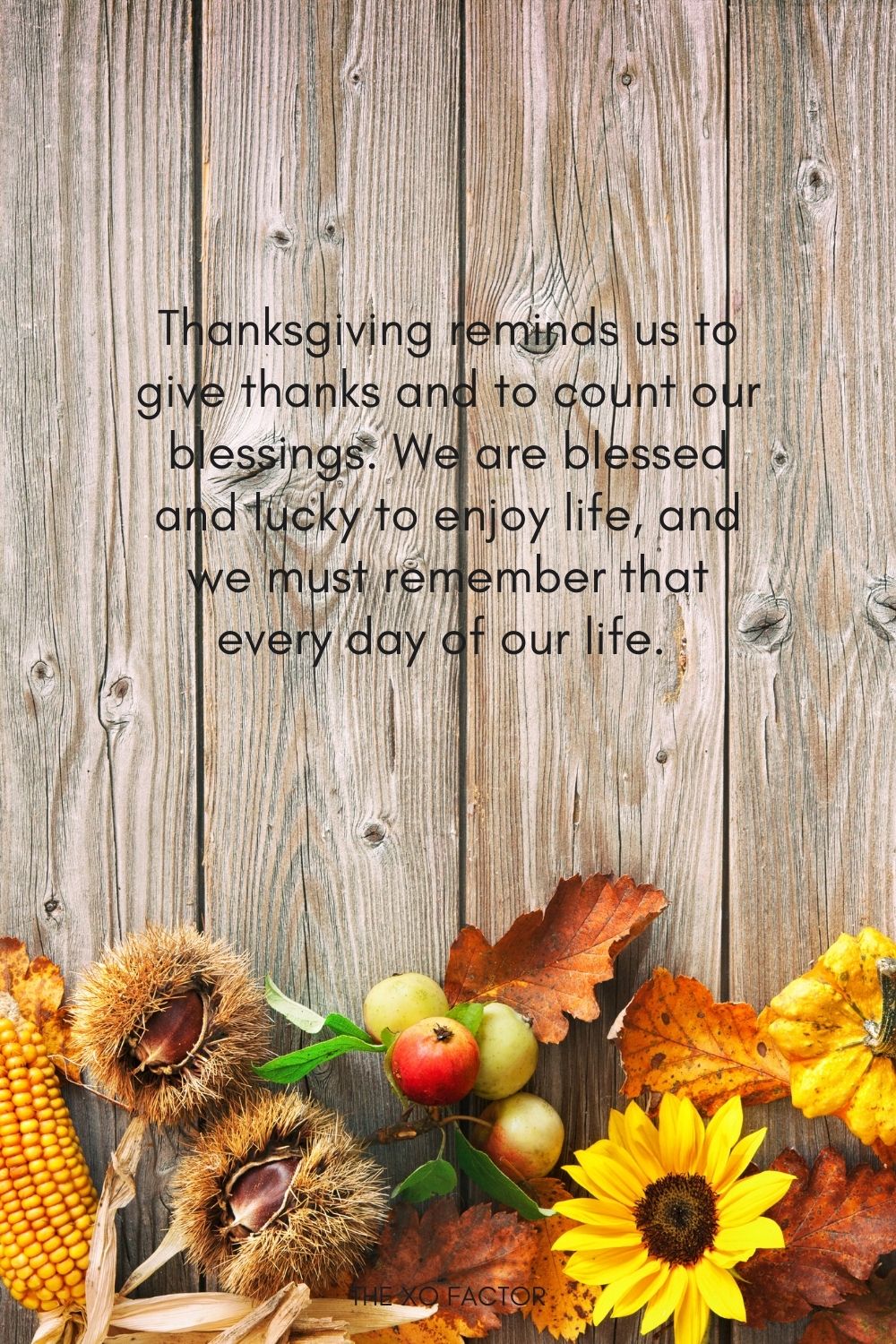 Thanksgiving reminds us to give thanks and to count our blessings. We are blessed and lucky to enjoy life, and we must remember that every day of our life.