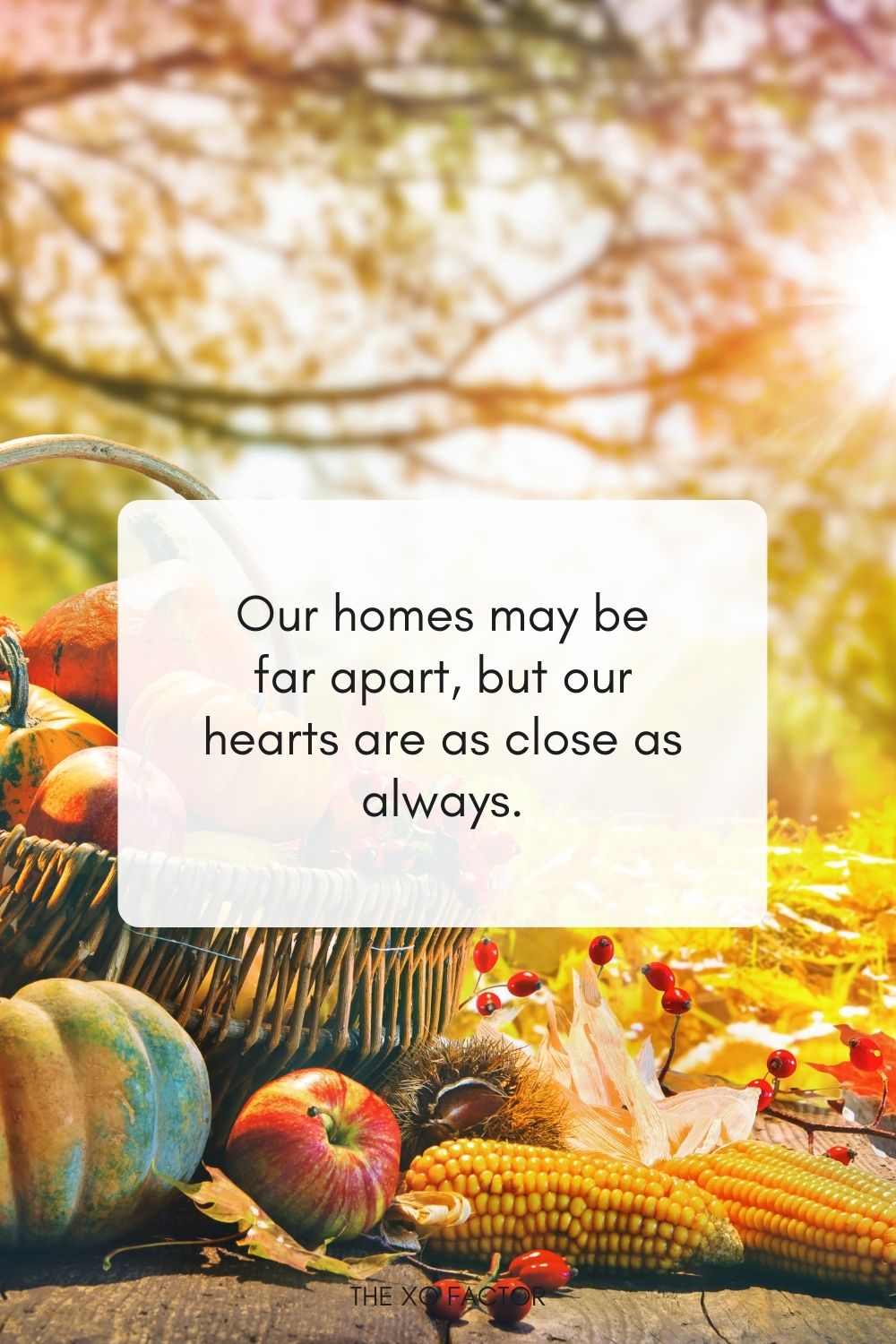 Our homes may be far apart, but our hearts are as close as always.