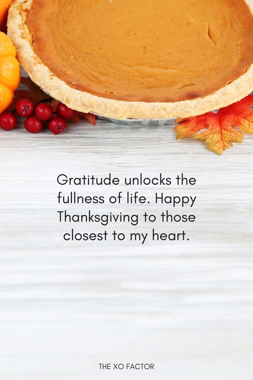 Gratitude unlocks the fullness of life. Happy Thanksgiving to those closest to my heart.