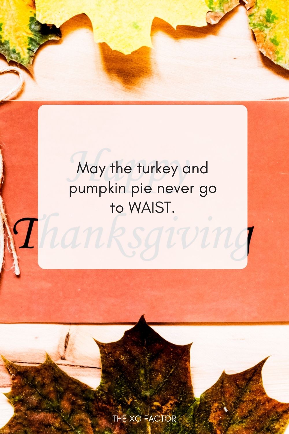 May the turkey and pumpkin pie never go to WAIST. Happy Thanksgiving!