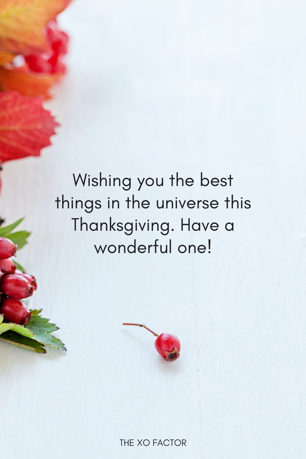 Wishing you the best things in the universe this Thanksgiving. Have a wonderful one!