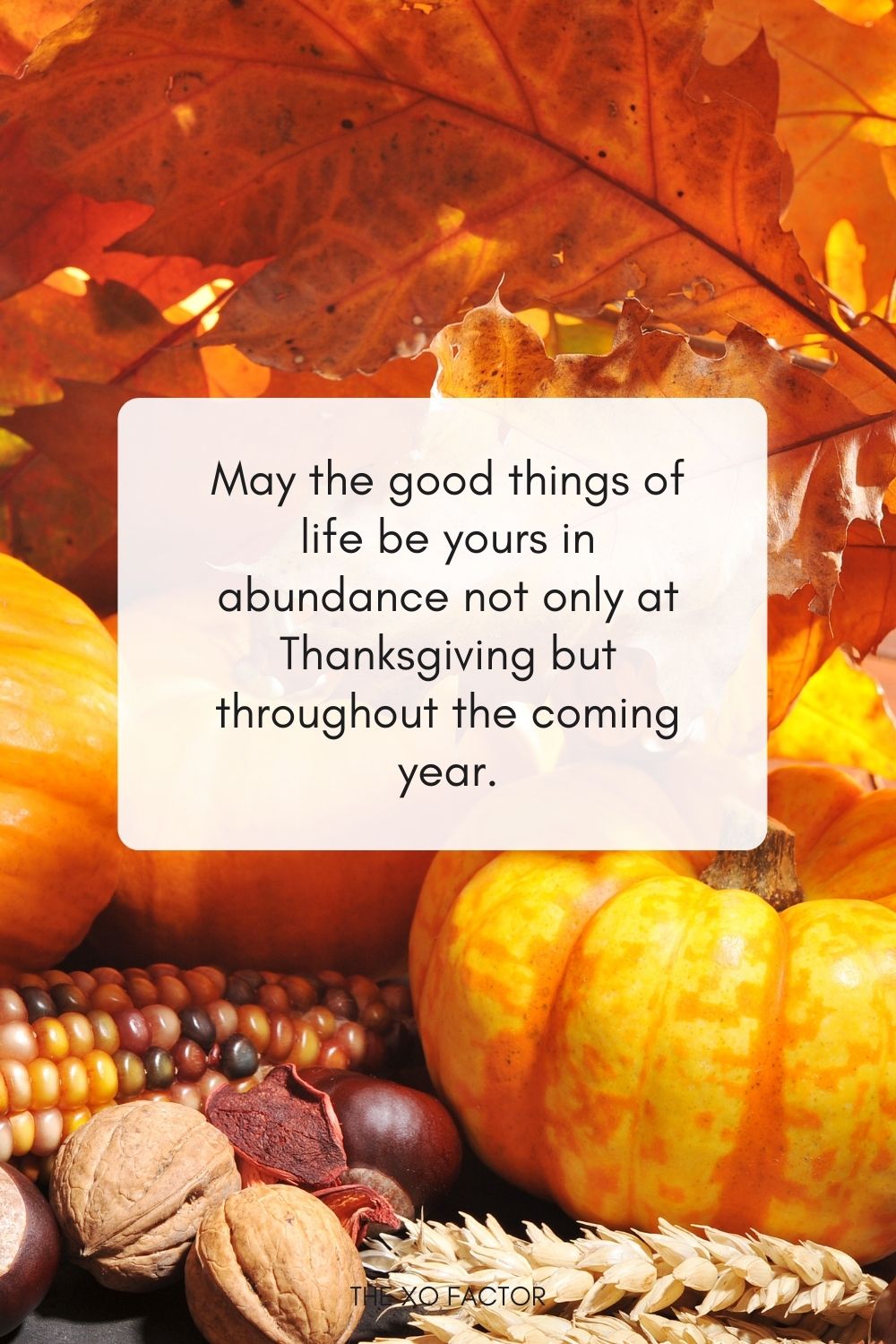 May the good things of life be yours in abundance not only at Thanksgiving but throughout the coming year.
