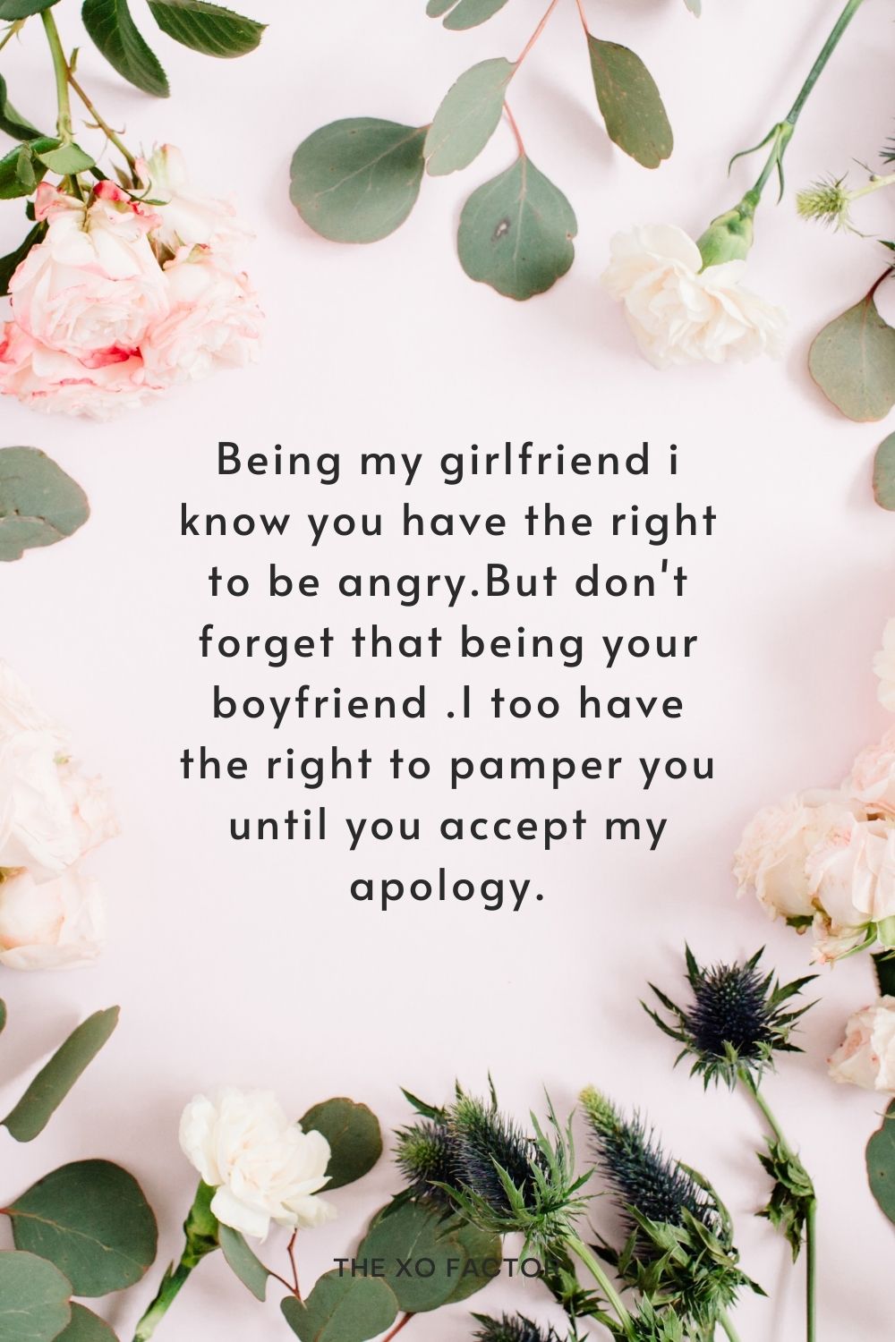 Being my girlfriend i know you have the right to be angry.But don't forget that being your boyfriend .I too have the right to pamper you until you accept my apology
