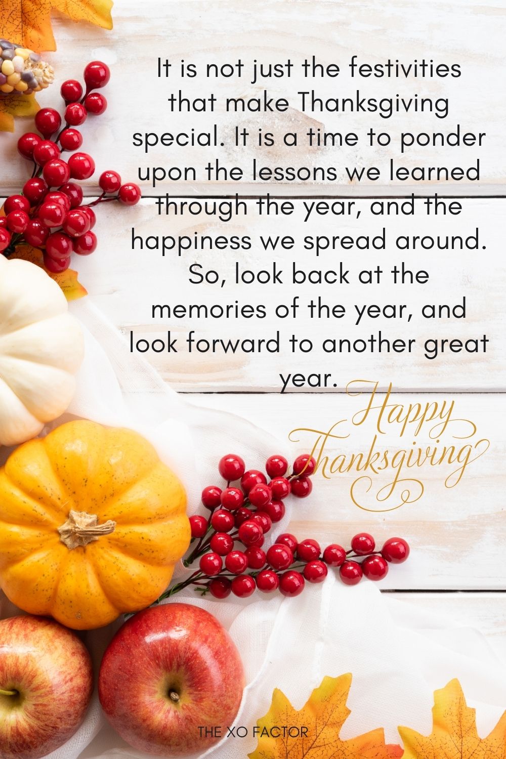 It is not just the festivities that make Thanksgiving special. It is a time to ponder upon the lessons we learned through the year, and the happiness we spread around. So, look back at the memories of the year, and look forward to another great year.