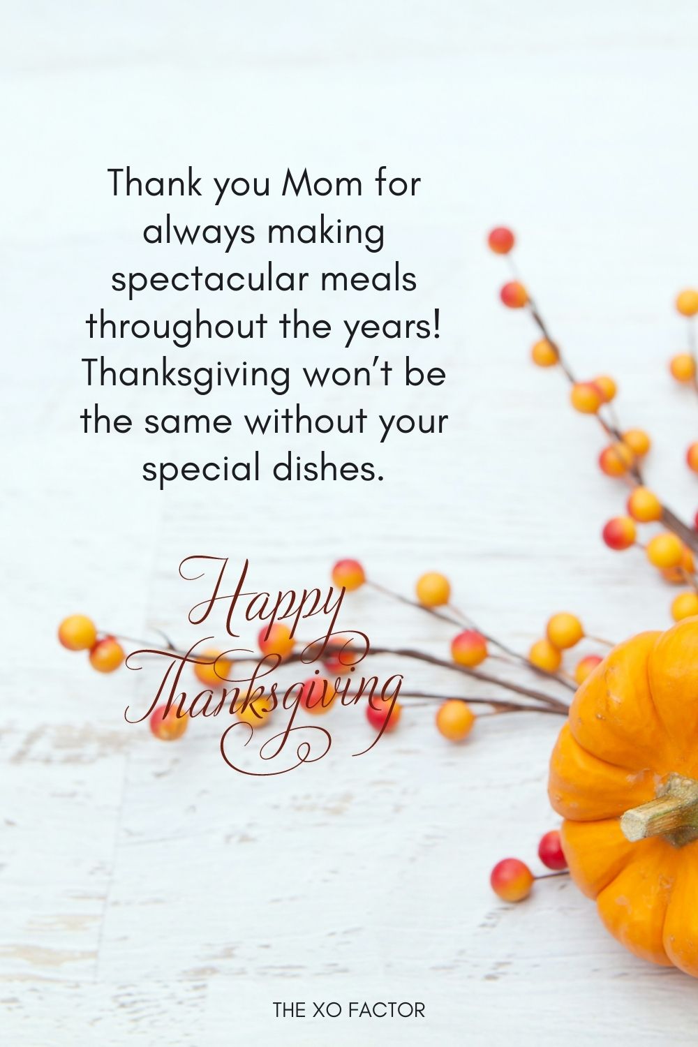 Thank you Mom for always making spectacular meals throughout the years! Thanksgiving won’t be the same without your special dishes.