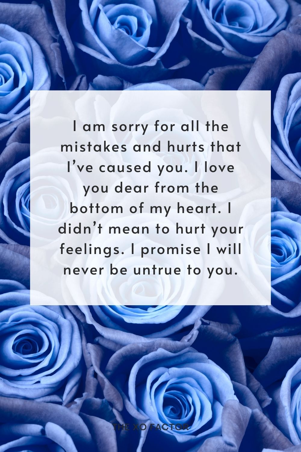 I am sorry for all the mistakes and hurts that I’ve caused you. I love you dear from the bottom of my heart. I didn’t mean to hurt your feelings. I promise I will never be untrue to you.