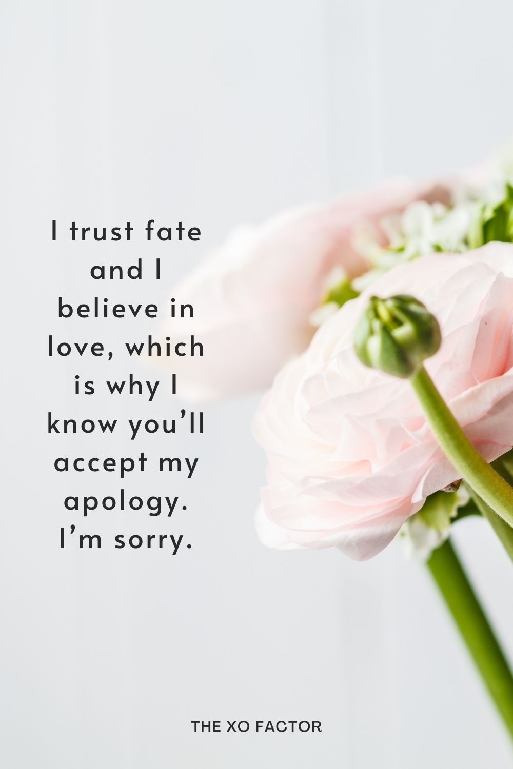 I trust fate and I believe in love, which is why I know you’ll accept my apology. I’m sorry.