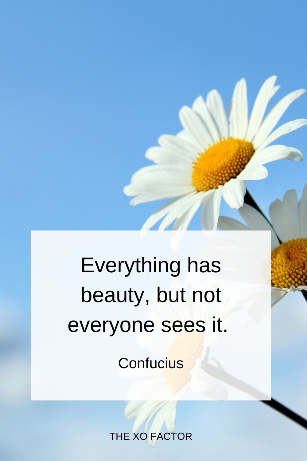 Everything has beauty, but not everyone sees it. Confucius