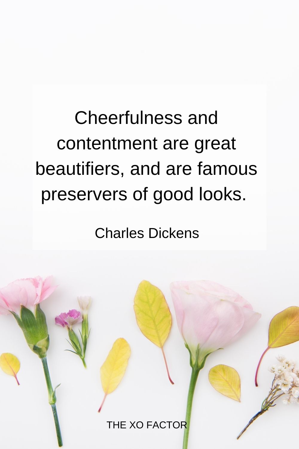 Cheerfulness and contentment are great beautifiers, and are famous preservers of good looks.  Charles Dickens