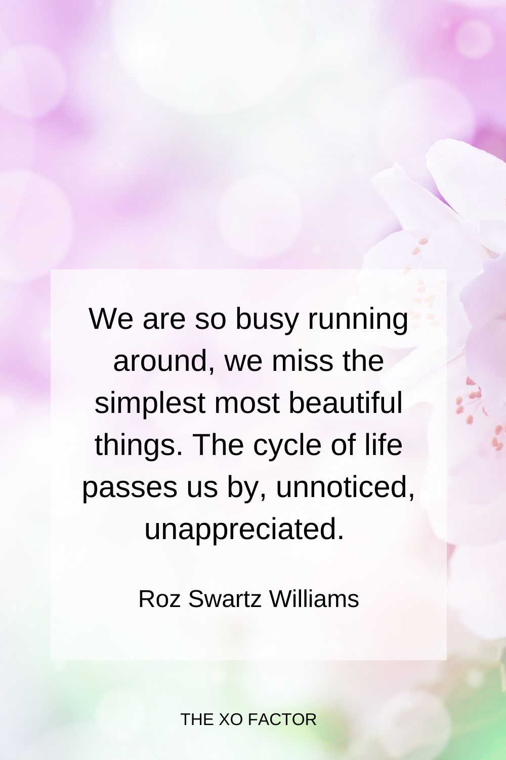 We are so busy running around, we miss the simplest most beautiful things. The cycle of life passes us by, unnoticed, unappreciated.  Roz Swartz Williams