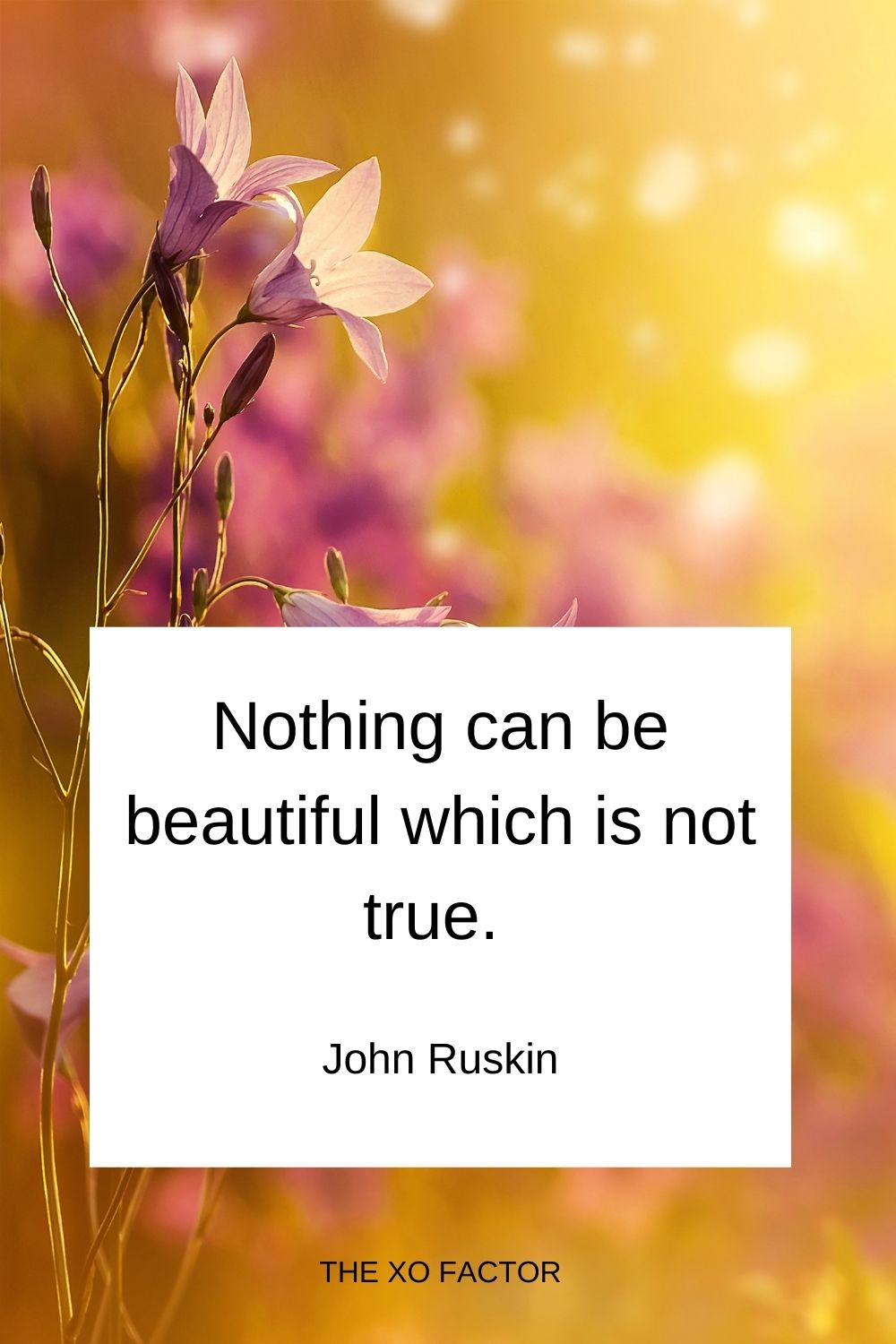 Nothing can be beautiful which is not true.  John Ruskin