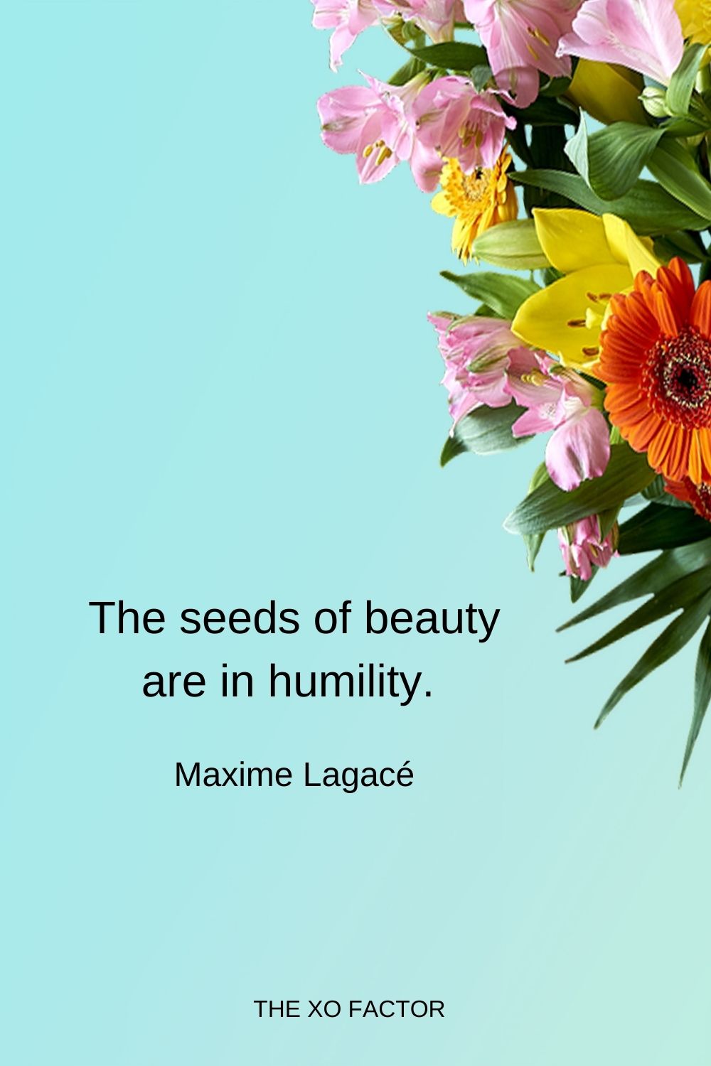 The seeds of beauty are in humility.  Maxime Lagacé