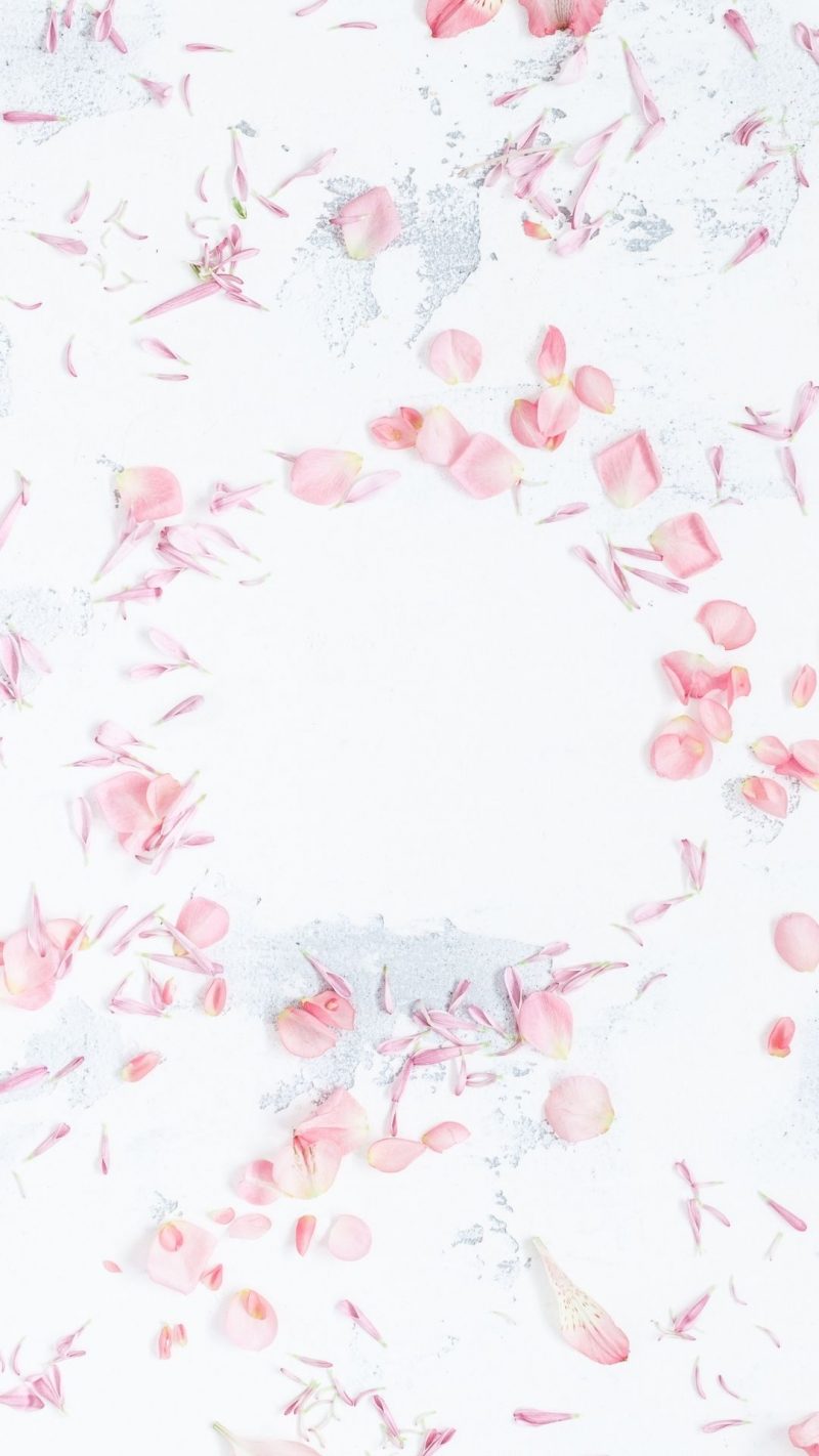 100 Pretty Pink Wallpapers For Phone The XO Factor