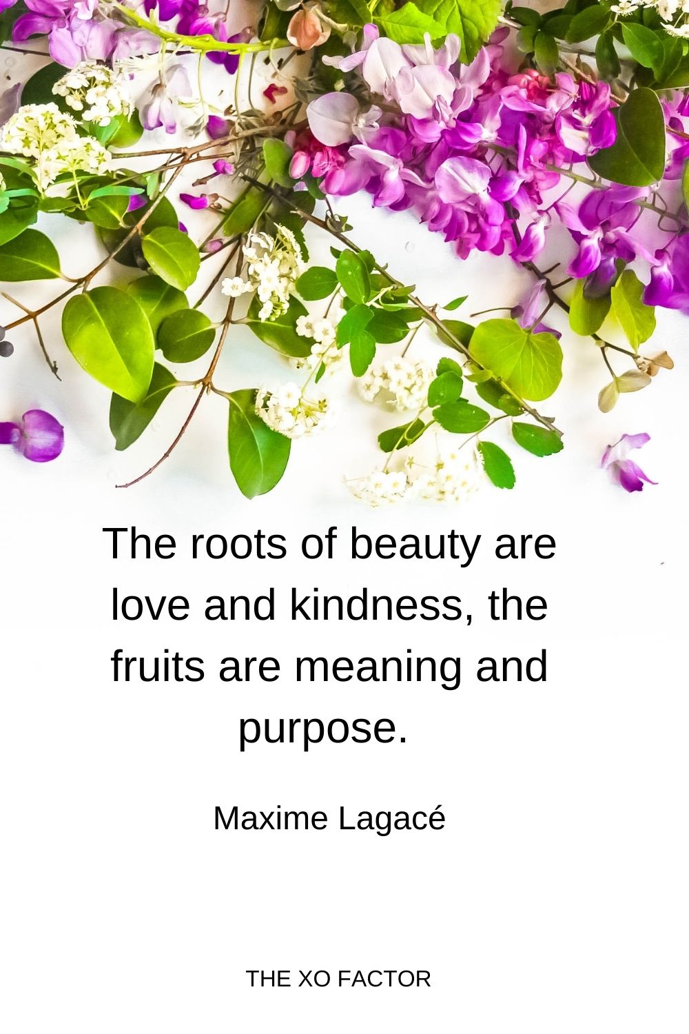 The roots of beauty are love and kindness, the fruits are meaning and purpose.  Maxime Lagacé
