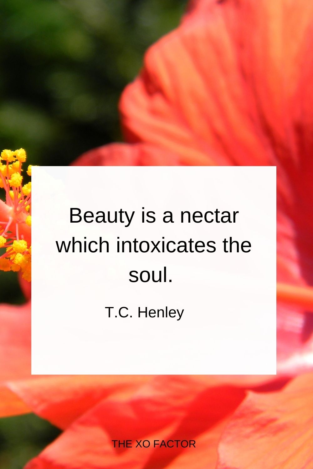 Beauty is a nectar which intoxicates the soul.  T.C. Henley