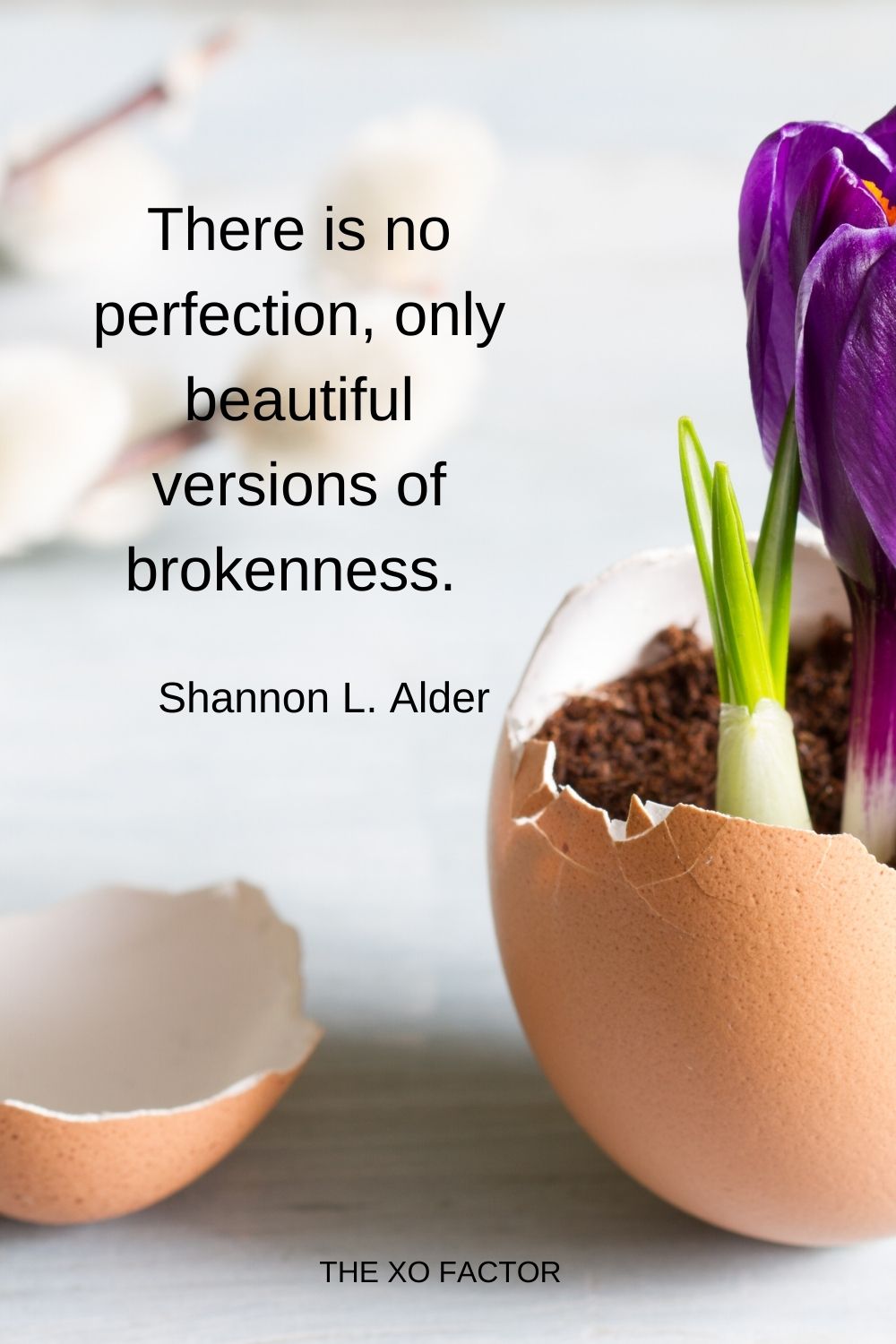 There is no perfection, only beautiful versions of brokenness.  Shannon L. Alder