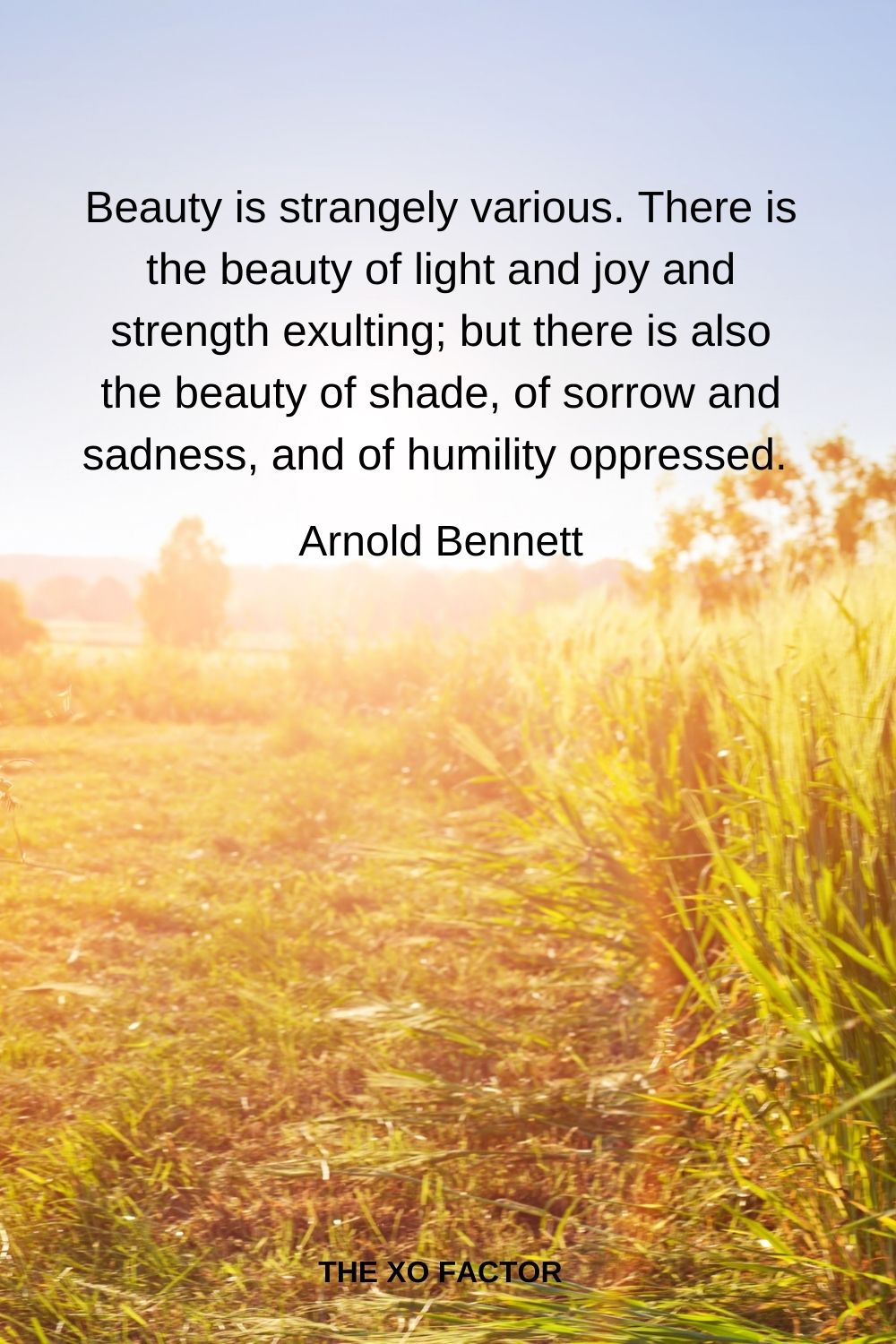 Beauty is strangely various. There is the beauty of light and joy and strength exulting; but there is also the beauty of shade, of sorrow and sadness, and of humility oppressed.  Arnold Bennett