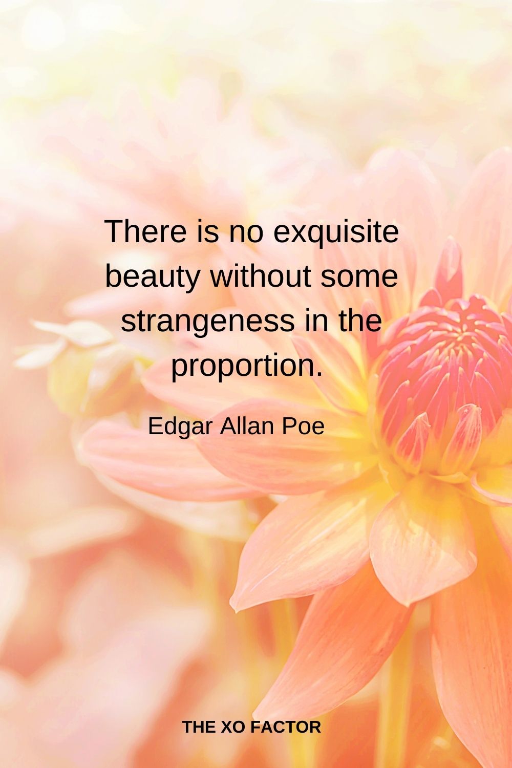There is no exquisite beauty without some strangeness in the proportion.  Edgar Allan Poe