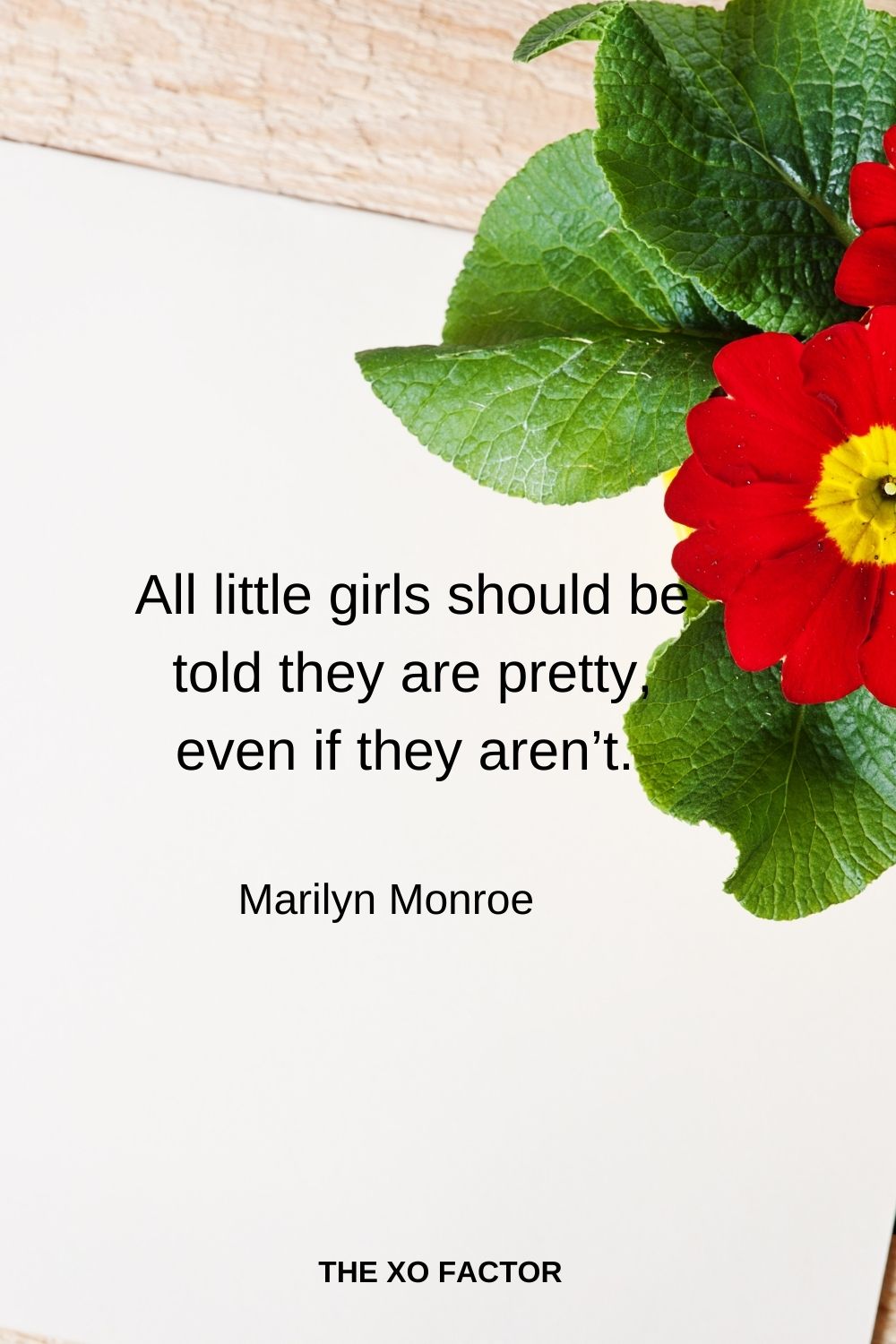 All little girls should be told they are pretty, even if they aren’t.  Marilyn Monroe