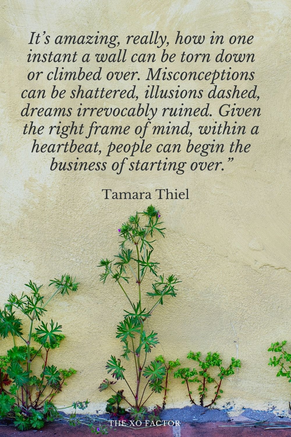 It’s amazing, really, how in one instant a wall can be torn down or climbed over. Misconceptions can be shattered, illusions dashed, dreams irrevocably ruined. Given the right frame of mind, within a heartbeat, people can begin the business of starting over.” Tamara Thiel