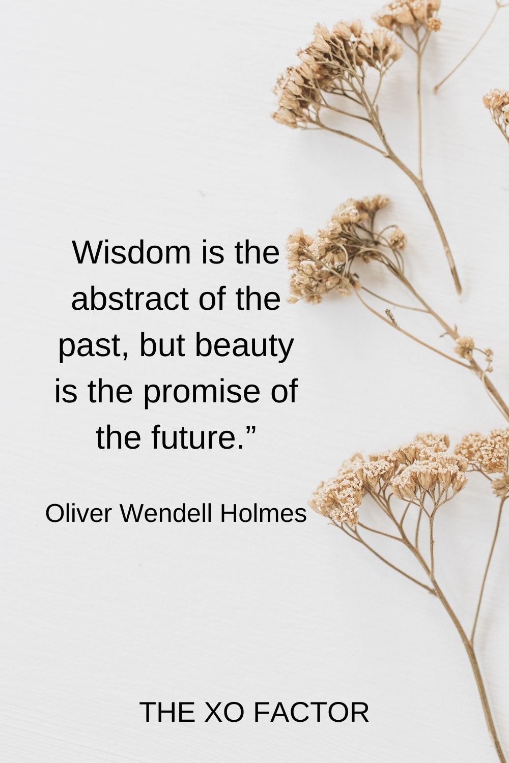 Wisdom is the abstract of the past, but beauty is the promise of the future.”  Oliver Wendell Holmes beauty quotes