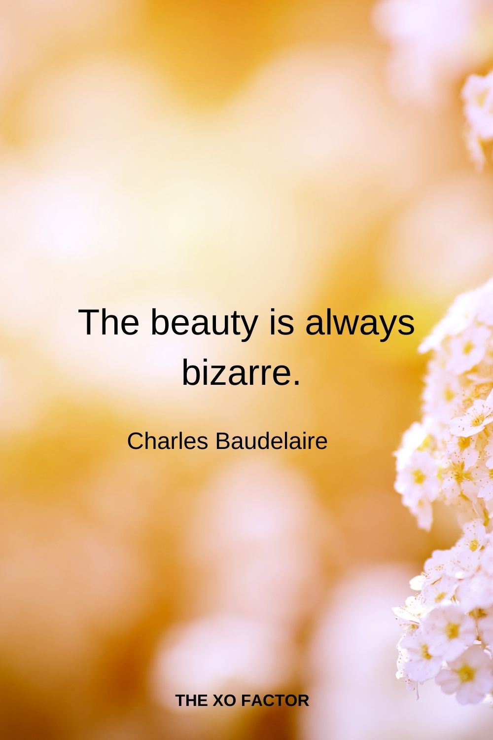 The beautiful is always bizarre.  Charles Baudelaire