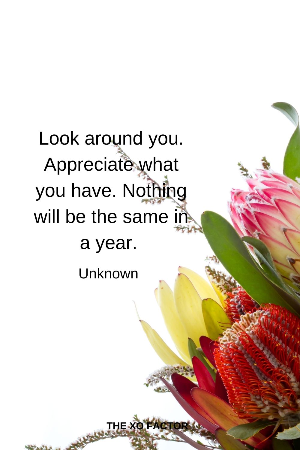 Look around you. Appreciate what you have. Nothing will be the same in a year.  Unknown