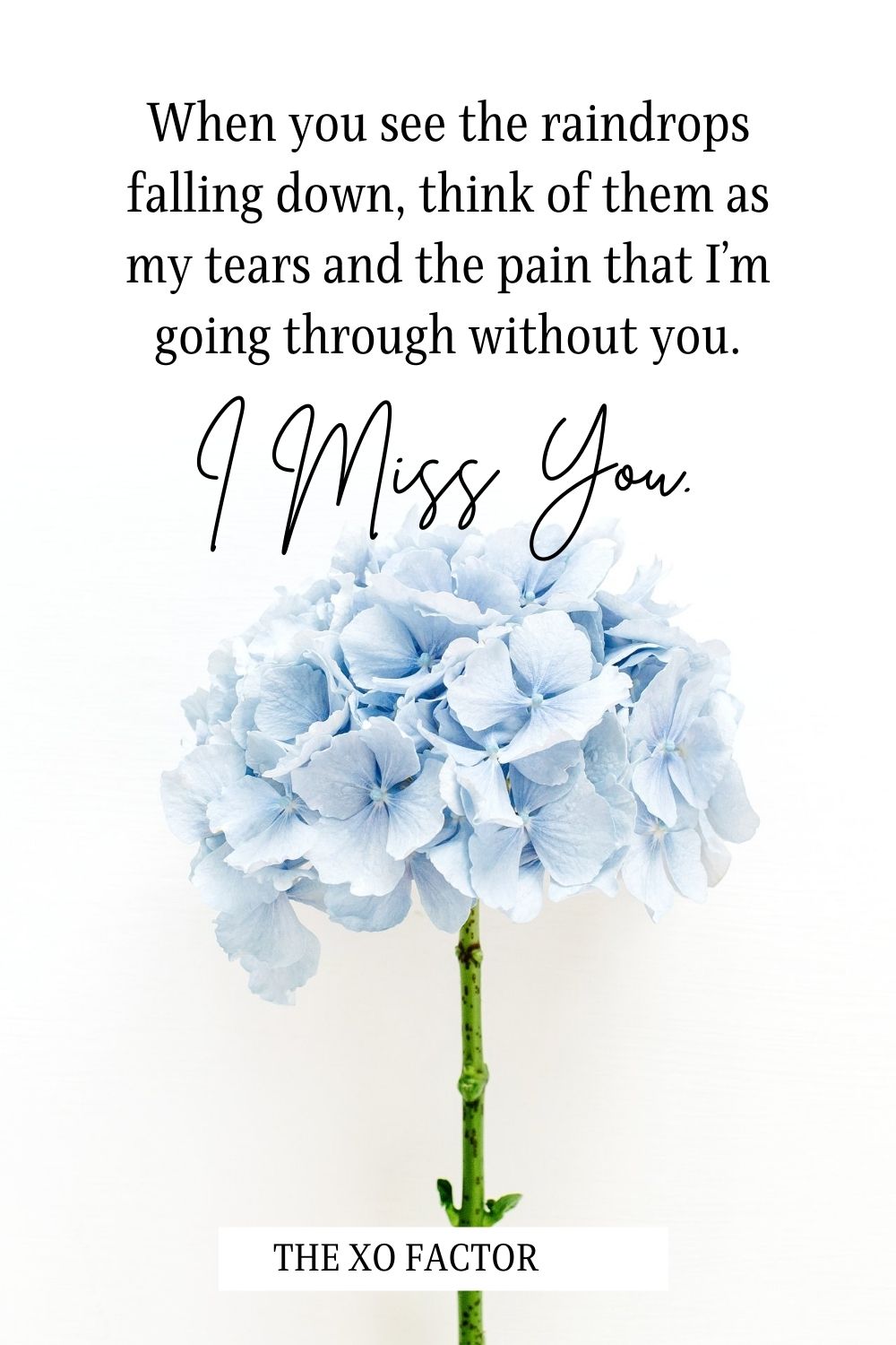 When you see the raindrops falling down, think of them as my tears and the pain that I’m going through without you. I Miss You.