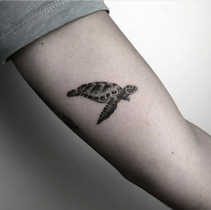 sea turtle tattoo designs