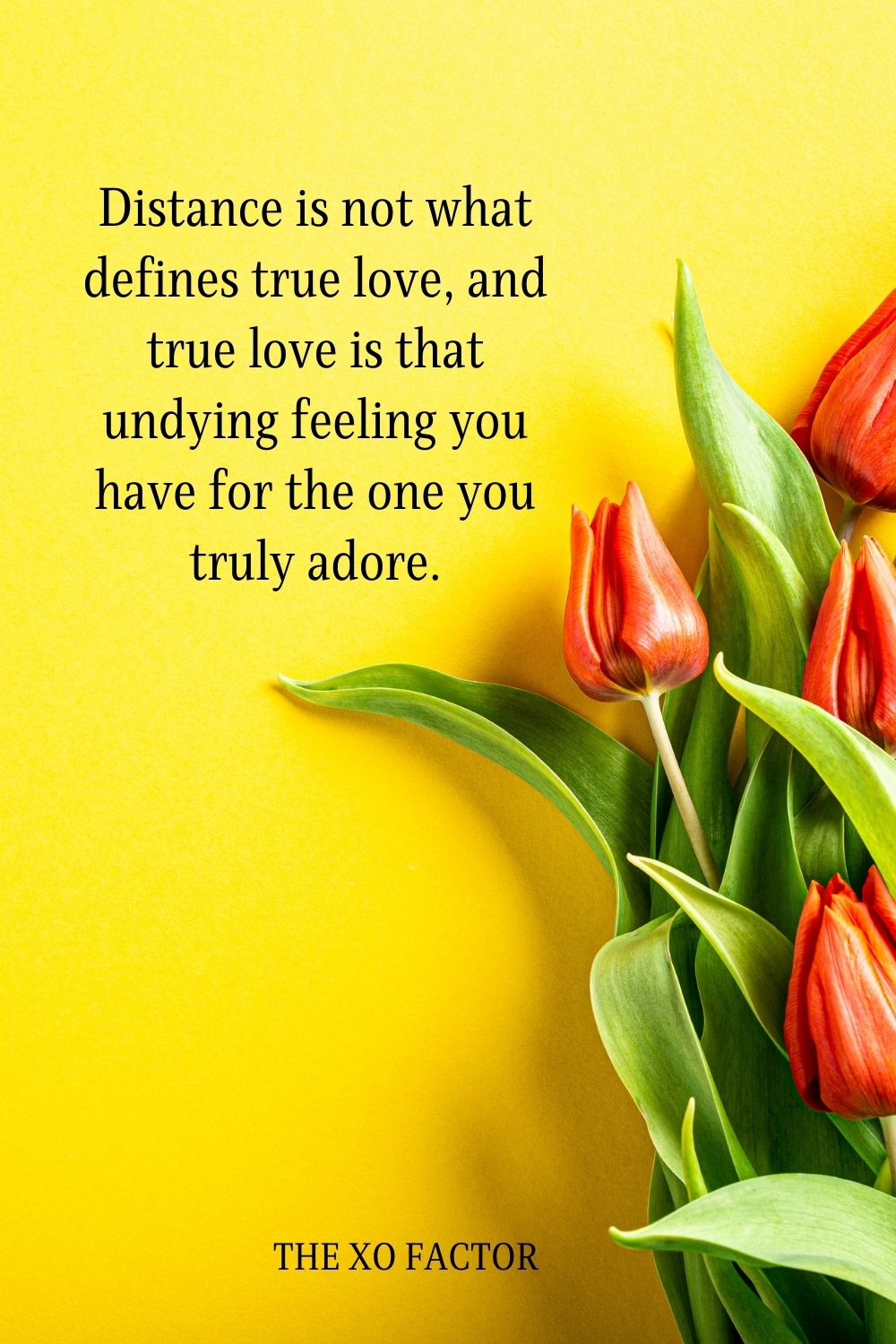 Distance is not what defines true love, and true love is that undying feeling you have for the one you truly adore.